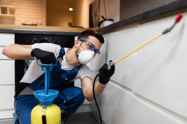 Best Bed Bug Extermination  in Mountain Home Af, ID