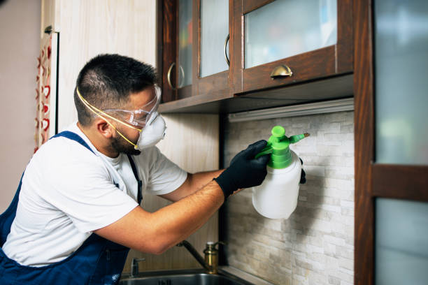 Best Best Pest Control Companies  in Mountain Home Af, ID