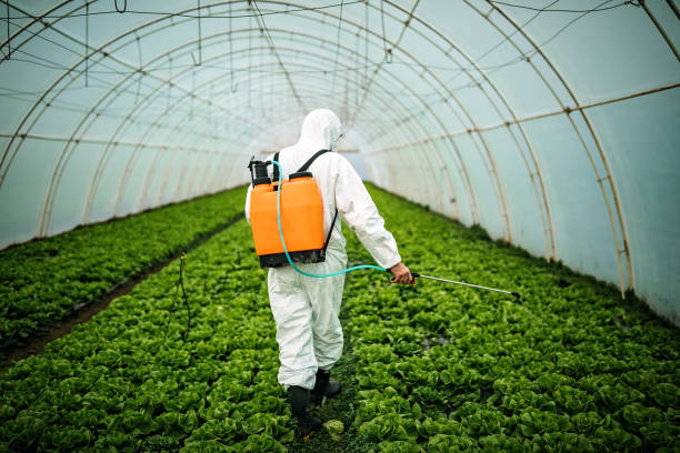 Pest Prevention Services in Mountain Home Af, ID