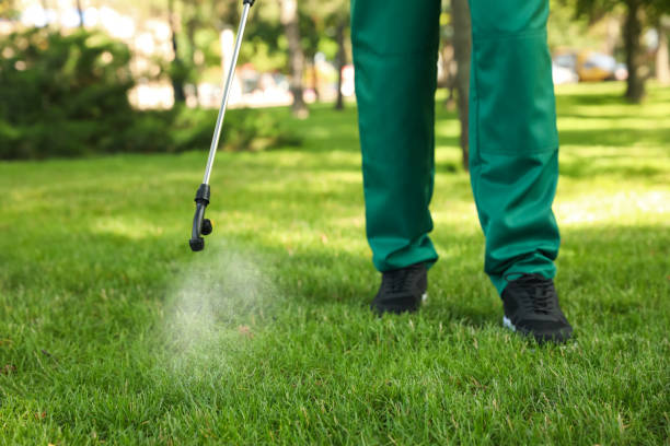 Best Termite Control Services  in Mountain Home Af, ID